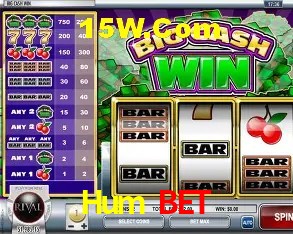 Hum Bet Curitiba - Statistics
