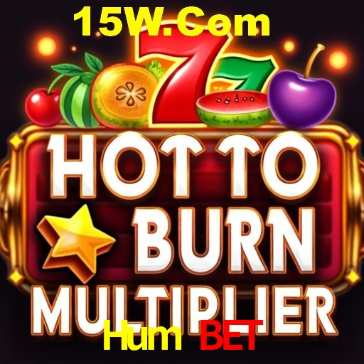 Security Systems Hum Bet