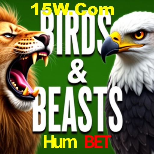 Apostas Esportivas na Hum Bet: Um Guia Completo