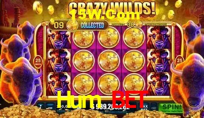 Hum Bet Salvador - Football