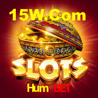 Hum Bet - Installation Guide